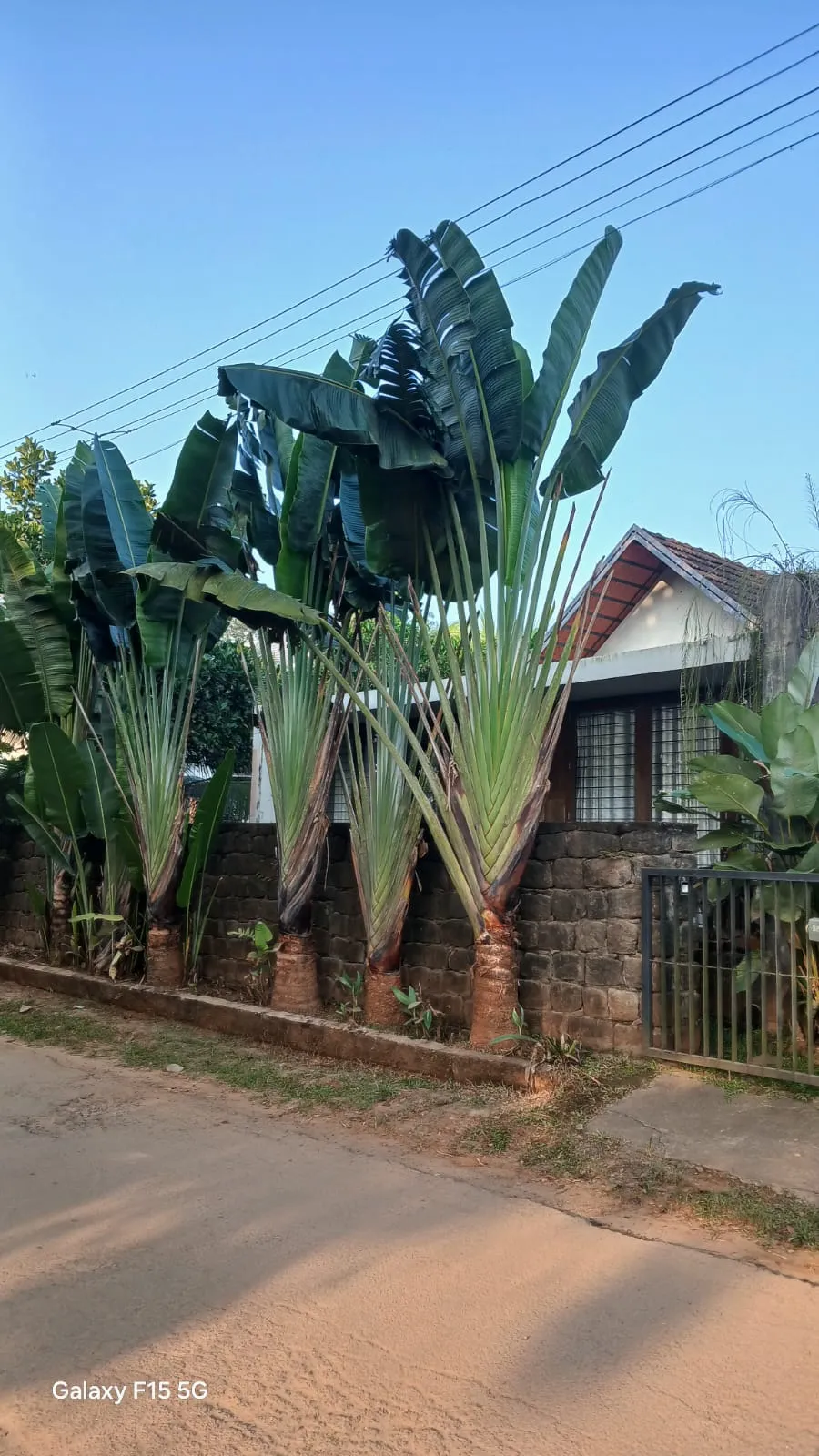 Landscape Architecture